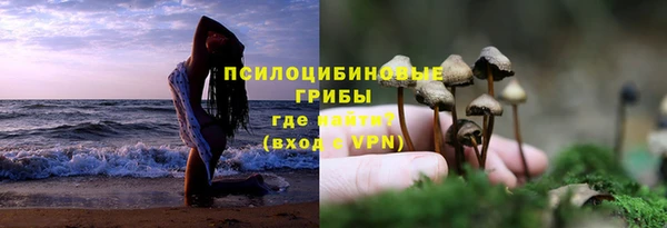 дмт Белоозёрский