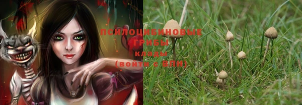 дмт Белоозёрский