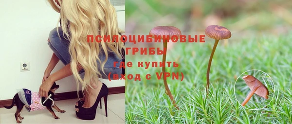 твердый Белокуриха