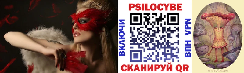 Псилоцибиновые грибы прущие грибы Красный Холм