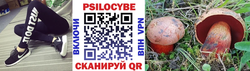 Псилоцибиновые грибы Psilocybe  Красный Холм 